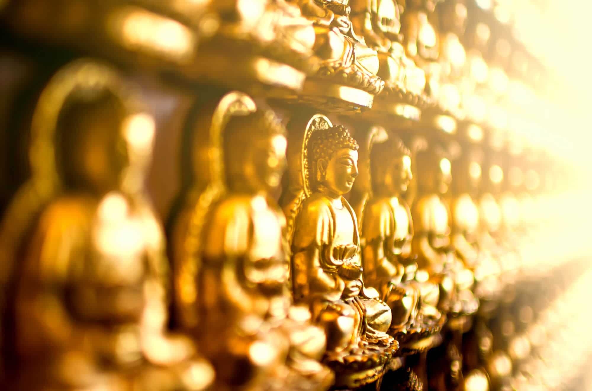 20 Great Quotes of Wisdom to Awaken Your Inner Mystic