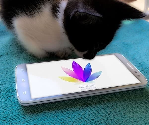 Customer Reviews of Subtle Energy's Digital CBD App