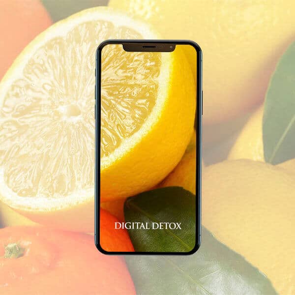 Digital Detox Quantum Energy App on iPhone