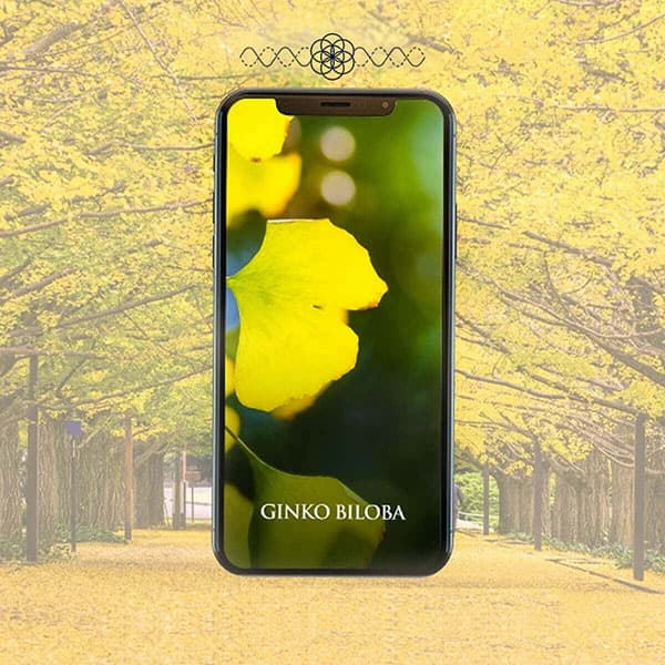 Ginko Biloba Quantum Energy App mandala