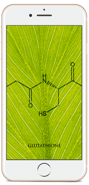 Glutathione mandala alternate view