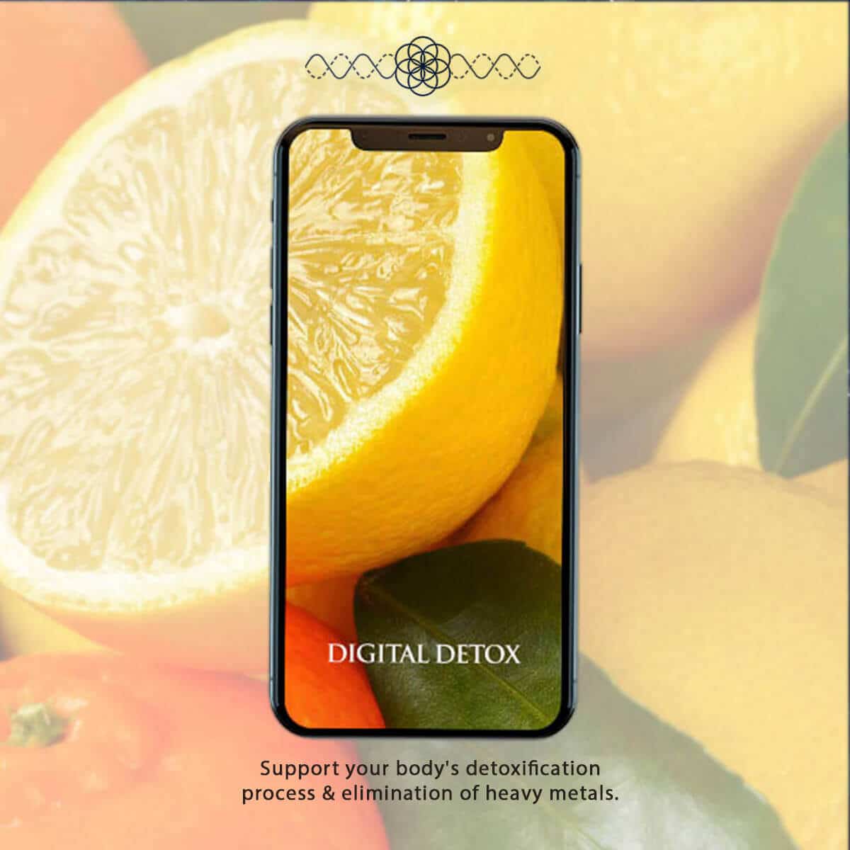 Digital Detox