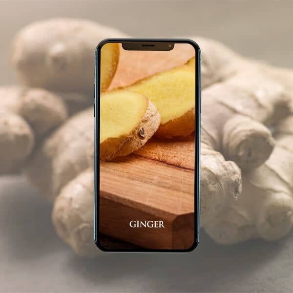 Ginger
