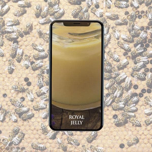 Royal Jelly