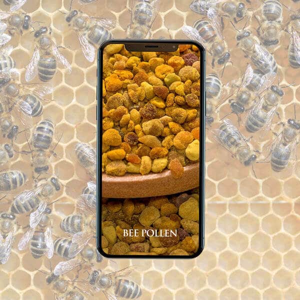 Bee Pollen