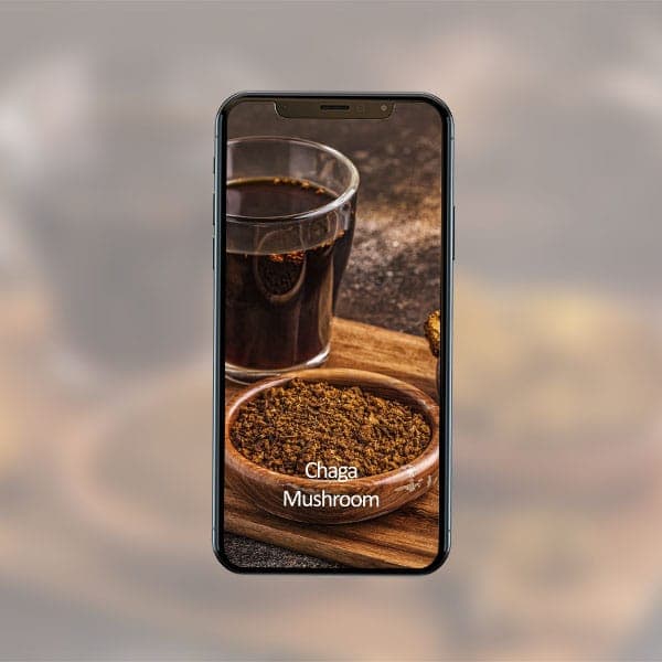 Chaga Mushroom