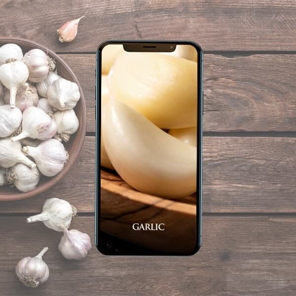 Garlic