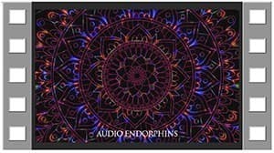 Endorphins silent energy video