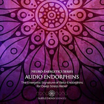 Audio Endorphins box