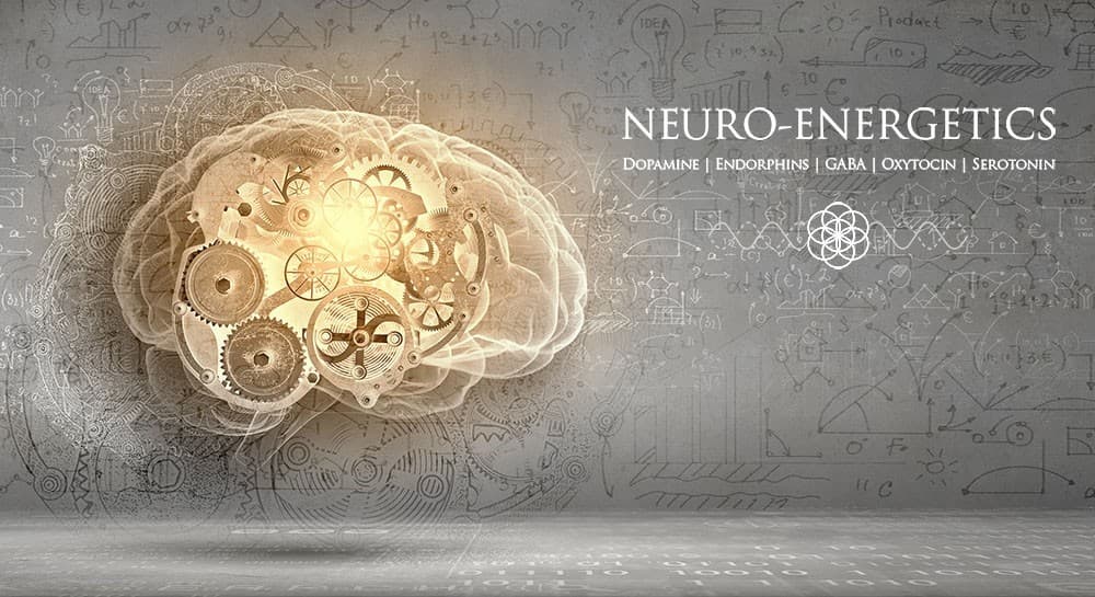Neuro Energetics