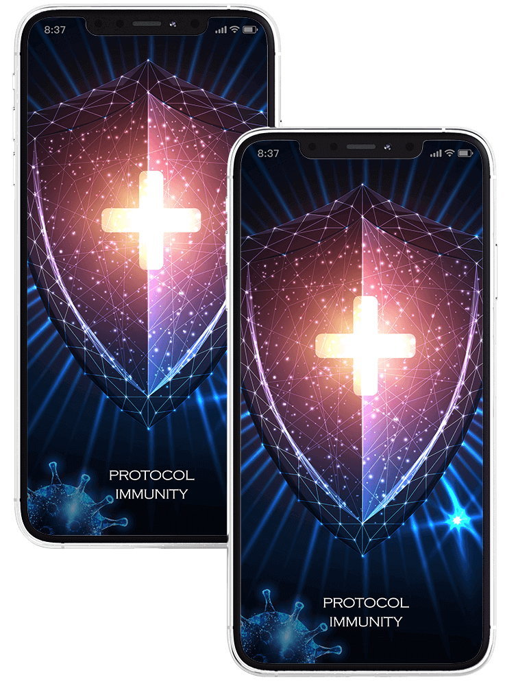 Protocol Immunity quantum signature mandala