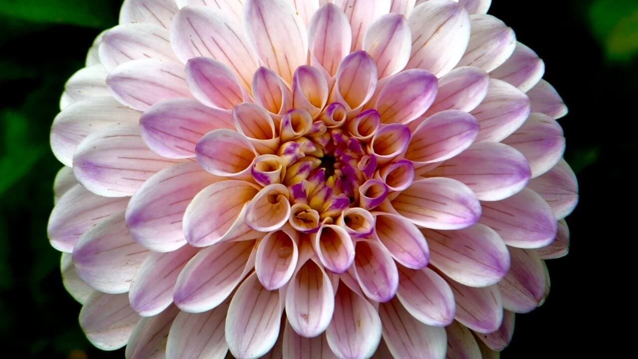 Sacred geometry in nature