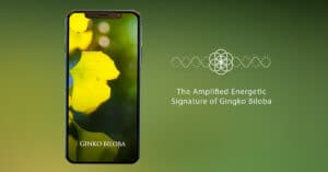 The energetic signature of Ginko Biloba is helpful for – Slows macular degeneration, increases mental clarity, anti-inflammatory properties, improves heart health and circulation, reduces symptoms of Alzheimer’s and dementia, reduces anxiety, helps relieve depression, relieves headaches and migraines.